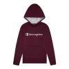 Kids 7-20 Champion® Script Fleece Hoodie -Champion Shop 4928961 Dark Berry