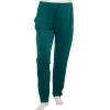 Big & Tall Champion® City Sport Pants -Champion Shop 5358475 Lakeside Green
