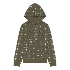 Boys 8-20 Champion® Multicolor Script Fleece Hoodie